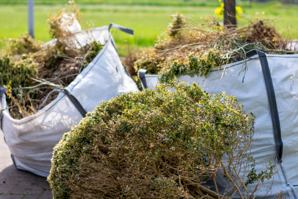 Best Junk Removal Near Me  in Shattuck, OK